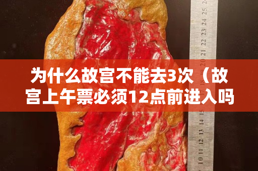 为什么故宫不能去3次（故宫上午票必须12点前进入吗）