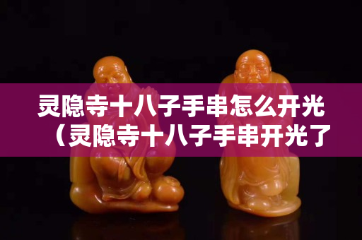 灵隐寺十八子手串怎么开光（灵隐寺十八子手串开光了吗）