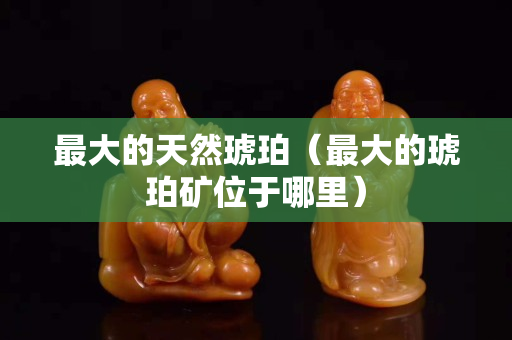最大的天然琥珀（最大的琥珀矿位于哪里）
