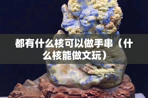 都有什么核可以做手串（什么核能做文玩）