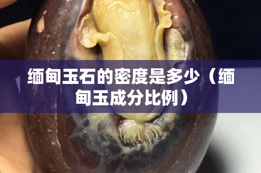 缅甸玉石的密度是多少（缅甸玉成分比例）