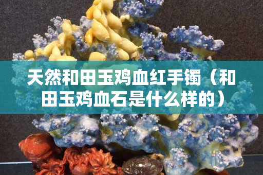 天然和田玉鸡血红手镯（和田玉鸡血石是什么样的）