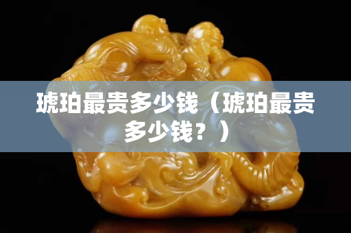 琥珀最贵多少钱（琥珀最贵多少钱？）