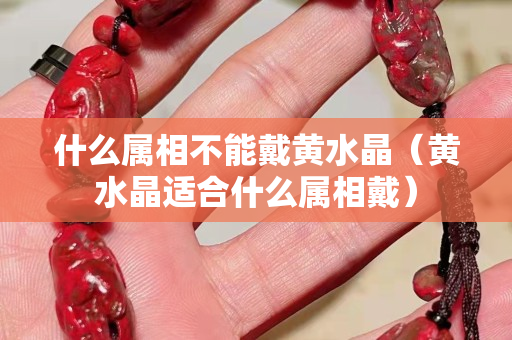 什么属相不能戴黄水晶（黄水晶适合什么属相戴）
