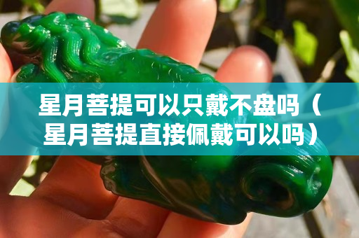 星月菩提可以只戴不盘吗（星月菩提直接佩戴可以吗）