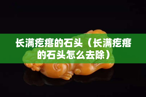 长满疙瘩的石头（长满疙瘩的石头怎么去除）