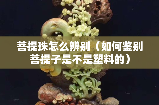 菩提珠怎么辨别（如何鉴别菩提子是不是塑料的）