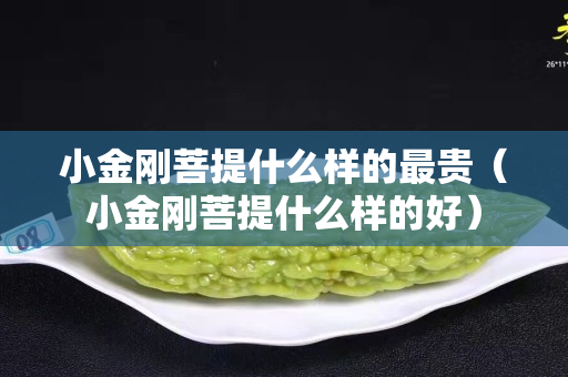 小金刚菩提什么样的最贵（小金刚菩提什么样的好）