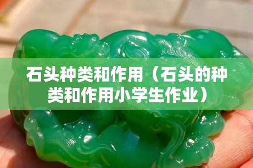 石头种类和作用（石头的种类和作用小学生作业）