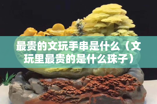 最贵的文玩手串是什么（文玩里最贵的是什么珠子）