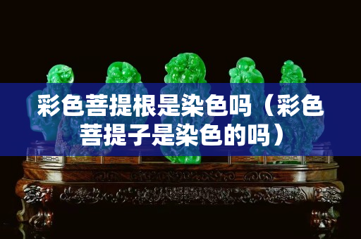 彩色菩提根是染色吗（彩色菩提子是染色的吗）