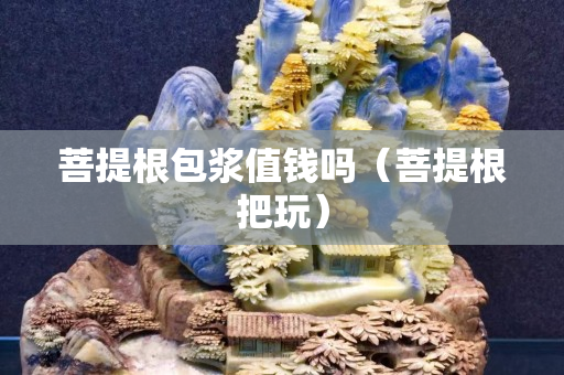 菩提根包浆值钱吗（菩提根把玩）