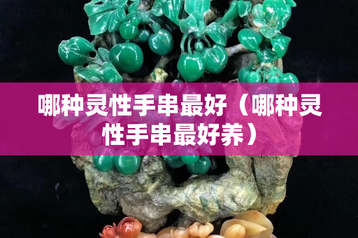 哪种灵性手串最好（哪种灵性手串最好养）