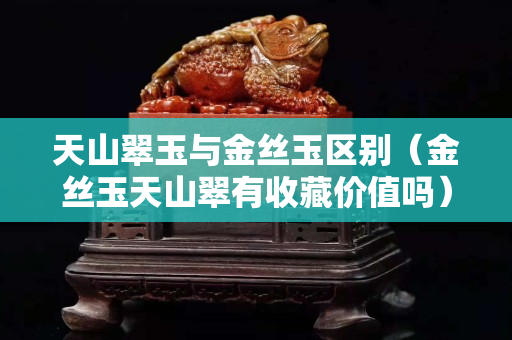 天山翠玉与金丝玉区别（金丝玉天山翠有收藏价值吗）