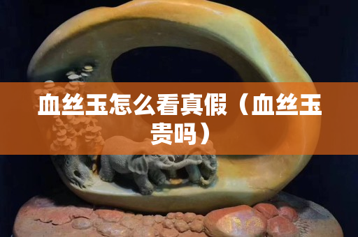 血丝玉怎么看真假（血丝玉贵吗）