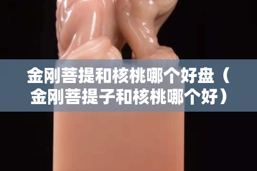 金刚菩提和核桃哪个好盘（金刚菩提子和核桃哪个好）