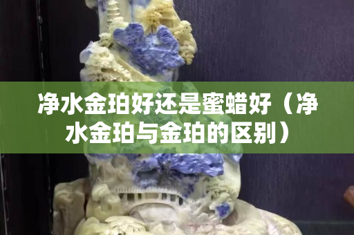 净水金珀好还是蜜蜡好（净水金珀与金珀的区别）