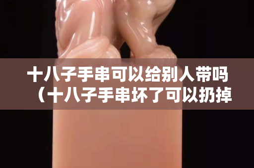 十八子手串可以给别人带吗（十八子手串坏了可以扔掉吗）