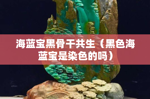 海蓝宝黑骨干共生（黑色海蓝宝是染色的吗）