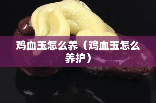鸡血玉怎么养（鸡血玉怎么养护）