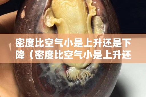 密度比空气小是上升还是下降（密度比空气小是上升还是下降的）