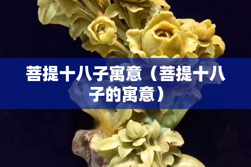 菩提十八子寓意（菩提十八子的寓意）