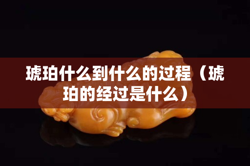 琥珀什么到什么的过程（琥珀的经过是什么）