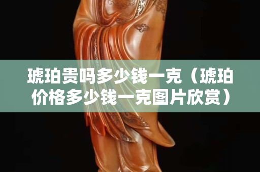 琥珀贵吗多少钱一克（琥珀价格多少钱一克图片欣赏）