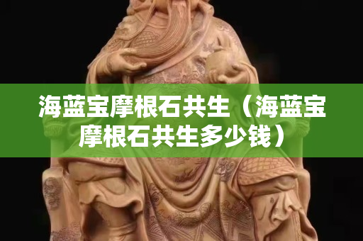 海蓝宝摩根石共生（海蓝宝摩根石共生多少钱）