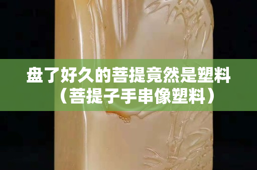 盘了好久的菩提竟然是塑料（菩提子手串像塑料）