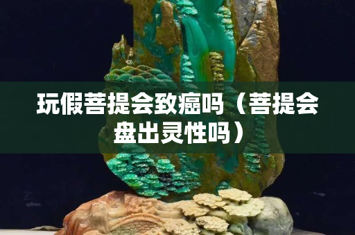 玩假菩提会致癌吗（菩提会盘出灵性吗）