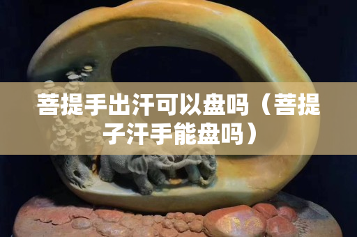 菩提手出汗可以盘吗（菩提子汗手能盘吗）