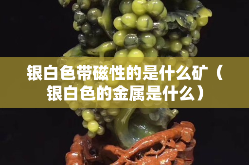 银白色带磁性的是什么矿（银白色的金属是什么）