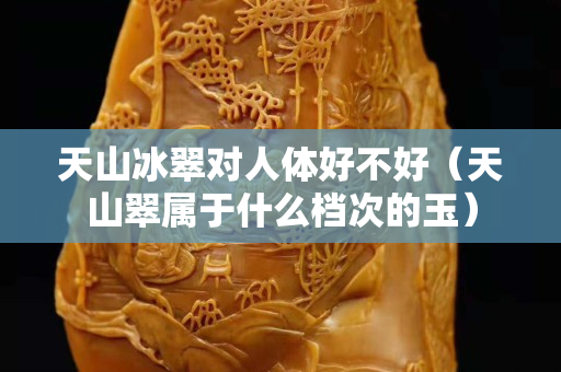天山冰翠对人体好不好（天山翠属于什么档次的玉）