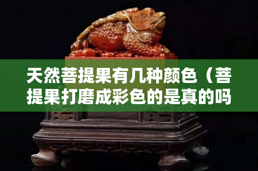 天然菩提果有几种颜色（菩提果打磨成彩色的是真的吗）