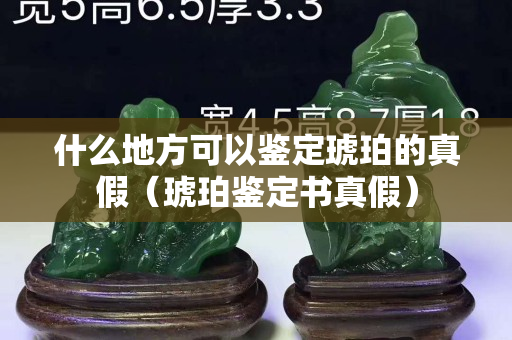 什么地方可以鉴定琥珀的真假（琥珀鉴定书真假）
