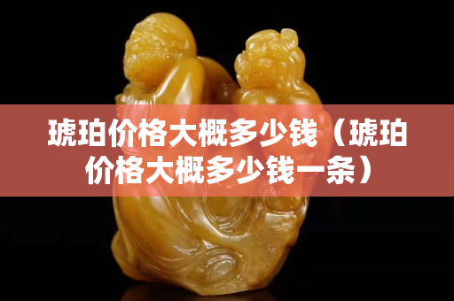 琥珀价格大概多少钱（琥珀价格大概多少钱一条）