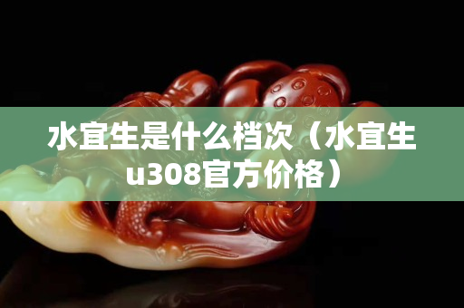 水宜生是什么档次（水宜生u308官方价格）