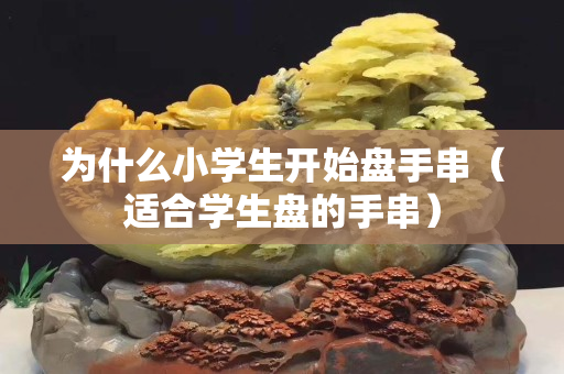 为什么小学生开始盘手串（适合学生盘的手串）