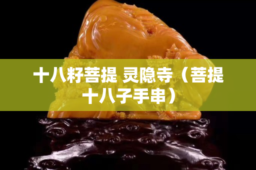 十八籽菩提 灵隐寺（菩提十八子手串）