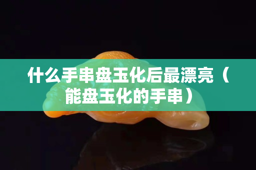 什么手串盘玉化后最漂亮（能盘玉化的手串）