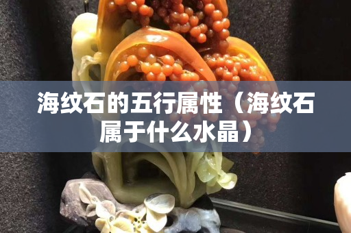 海纹石的五行属性（海纹石属于什么水晶）