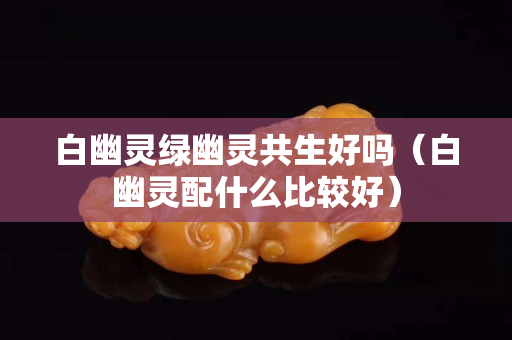 白幽灵绿幽灵共生好吗（白幽灵配什么比较好）