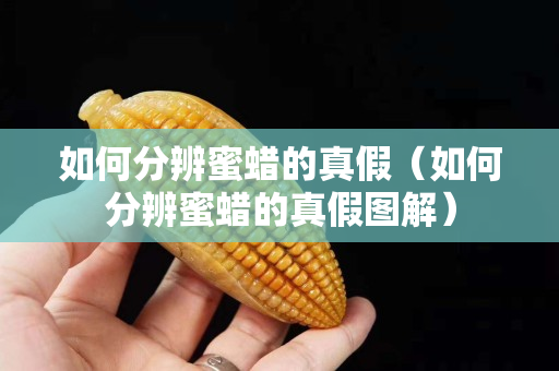 如何分辨蜜蜡的真假（如何分辨蜜蜡的真假图解）