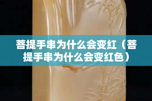 菩提手串为什么会变红（菩提手串为什么会变红色）