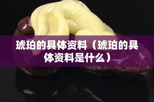 琥珀的具体资料（琥珀的具体资料是什么）