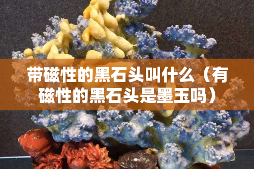带磁性的黑石头叫什么（有磁性的黑石头是墨玉吗）