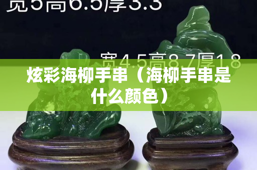 炫彩海柳手串（海柳手串是什么颜色）