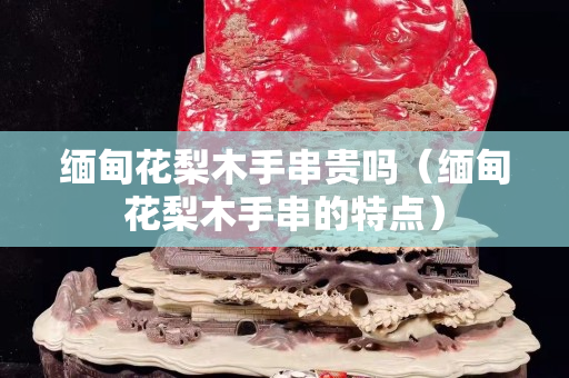 缅甸花梨木手串贵吗（缅甸花梨木手串的特点）