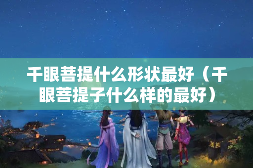 千眼菩提什么形状最好（千眼菩提子什么样的最好）